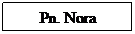Text Box: Pn. Nora
